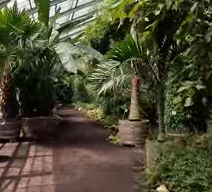 Flora und Botanischer Garten Köln