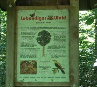 Waldinformationssystem „Lebendiger Wald“