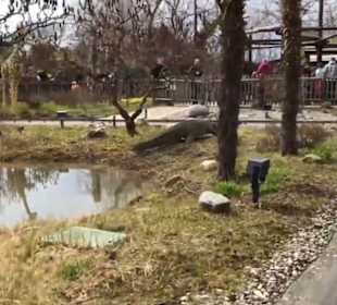 Land der Abenteuer - Safari Tour