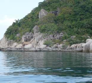 Koh Tao