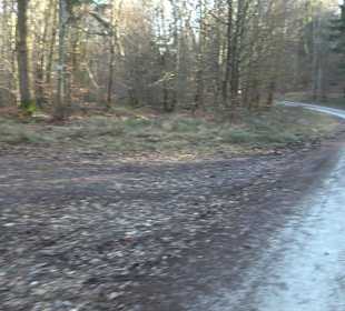 Wanderung rund um den Ochsenweiher