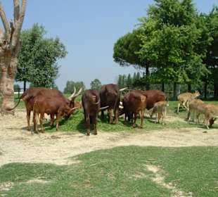 Parco Narura Viva