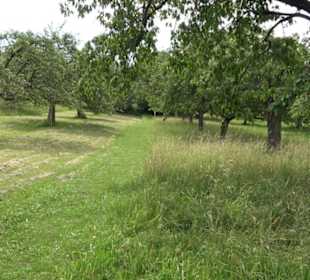 Premiumspazierweg Früchtetrauf-Leisawegle