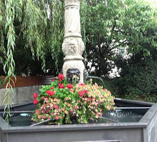Erbiskasten Brunnen Ulm
