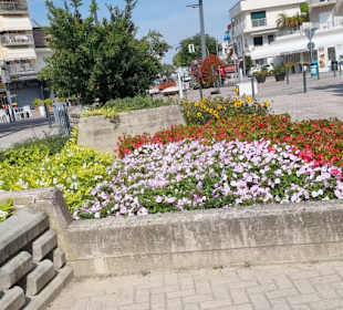 Vieles schön angelegt