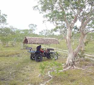 Bei uns mit dem Tak Tak durch die Landschaft