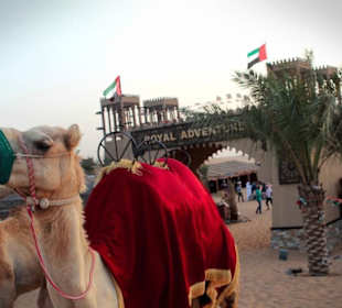 Royal Adventure Desert Safari 