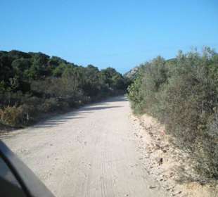 La strada sterrata per Roccapina