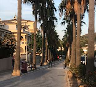 Stadtrundgang Peguera