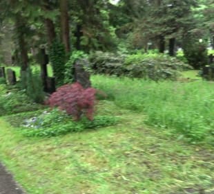 Stadtfriedhof Bad Waldsee