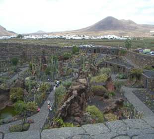 Blick auf den Garten