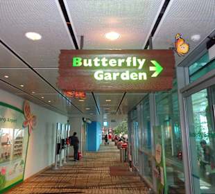 Butterfly Garden