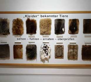 Fellproben zum Raten im Naturkundemuseum