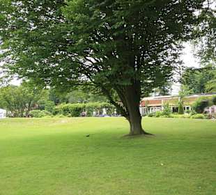 Große Rasenflächen im Kurpark