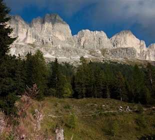 Krauti´s Bike Academy Rosengarten Latemar