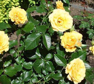 Москва - Кремль