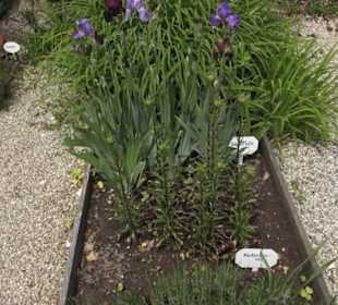 Benediktinerkloster Lorch