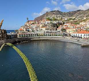 Camara de Lobos