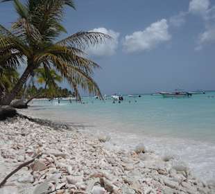 Ausflug Isla Saona