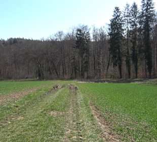 Geschichtlicher Lehrpfad Einsiedel
