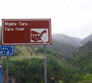 Tara