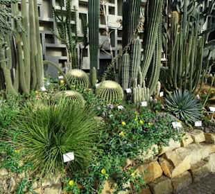 Die Tropengewächshäuser in "Planten un Blomen"