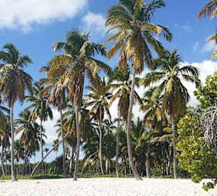 Insel-Ausflug mit Seavis