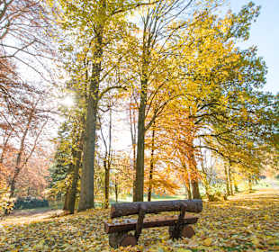 Wandern Brilon