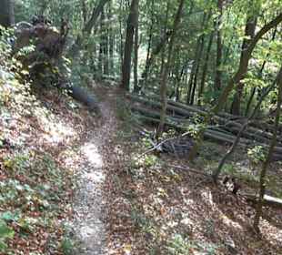 Premiumwanderweg hochgehkeltert Neuffen