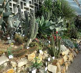 Die Tropengewächshäuser in "Planten un Blomen"