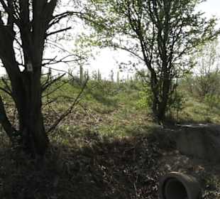 Wanderweg Firstwaldrunde