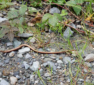 Wandern Ellmau am Wilden Kaiser