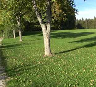 Tennisplätze Kohlstetten