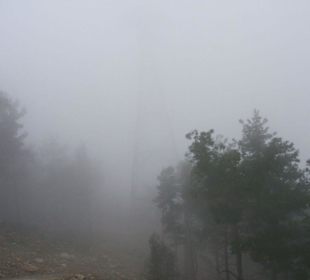 Talstation im Nebel