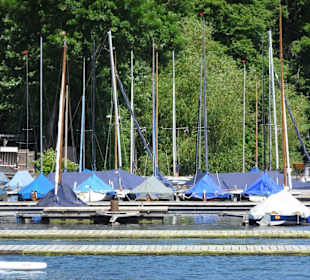 Boote am Westufer des Maschsees