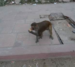 Aufpassen, jede Menge und gefährlich