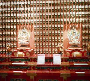 Buddha Zahn Relikt Tempel 