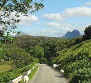 Typische Single Track Strasse im Assynt