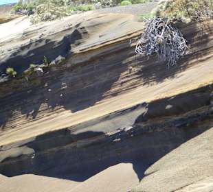 Parque Nacional del Teide