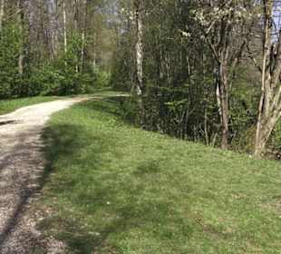 Sport- und Freizeitpark Markwasen
