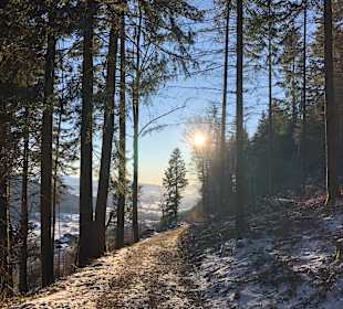 Wandern Oberstaufen
