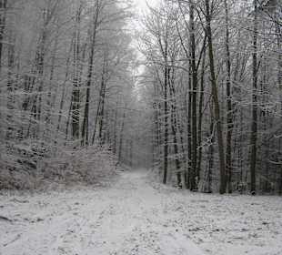 W drodzę na Ślężę