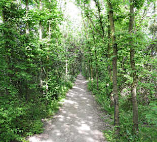 Weg zu einer der Vogelbeobachtungshütten