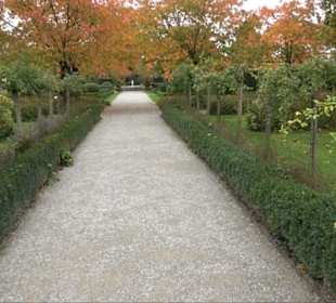 Hofgsarten
