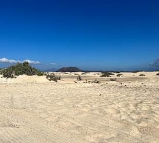 Naturpark Dünen von Corralejo