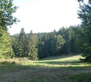 Wandern in / bei Friedrichroda