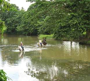 Ab durch die Mitte des Flusses