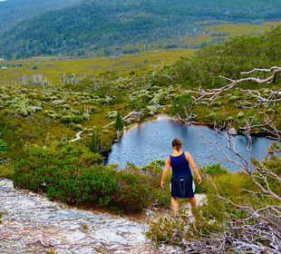 Cradle Mountain-Lake St.Clair NP - Wombat Pool