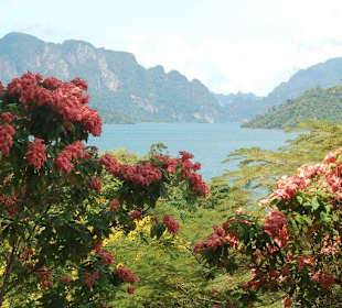 Umgebung des Staudamms