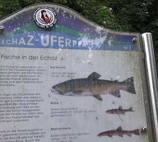 Echaz-Uferpfad
